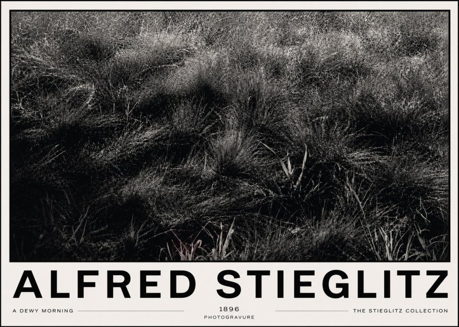 Alfred Stieglitz A Dewy Morning No6 - Juliste