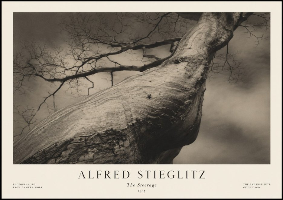 Alfred Stieglitz The Steerage I No1 - Juliste