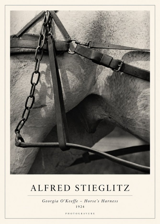 Alfred Stieglitz The Steerage I No2 - Juliste