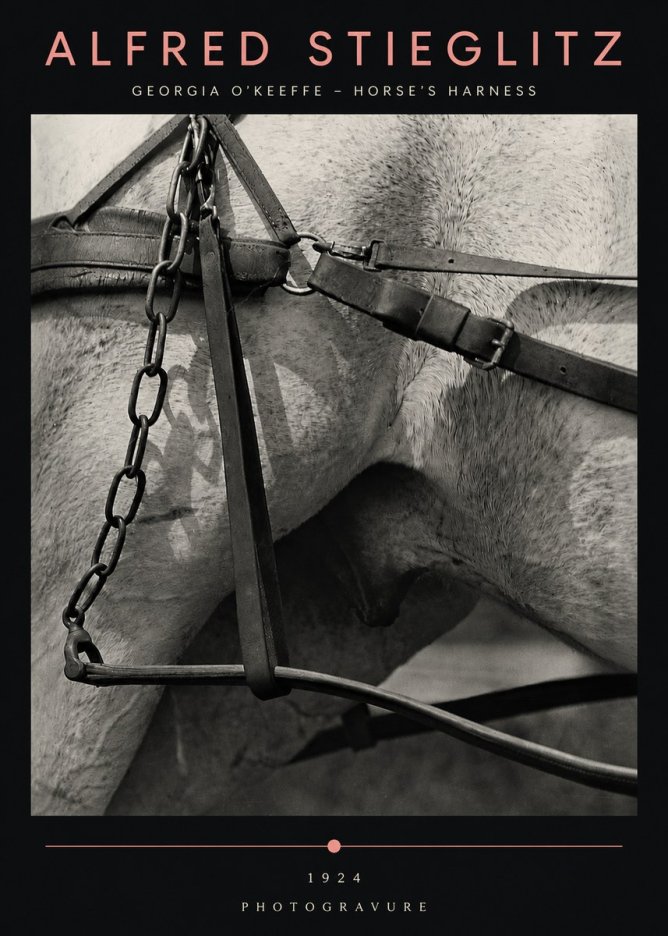 Alfred Stieglitz The Steerage I No5 - Juliste