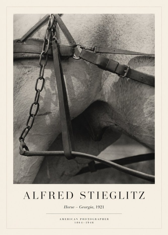 Alfred Stieglitz The Steerage I No6 - Juliste