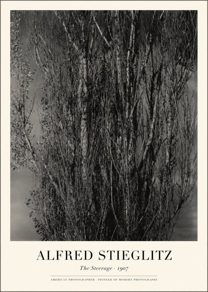 Alfred Stieglitz The Steerage II No1 - Juliste