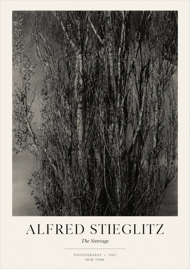 Alfred Stieglitz The Steerage II No3 - Juliste