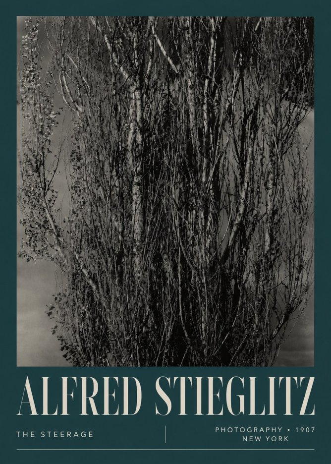 Alfred Stieglitz The Steerage II No5 - Juliste