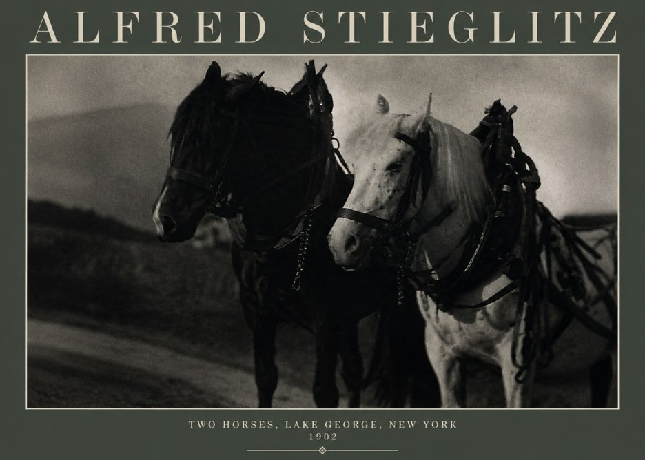 Alfred Stieglitz Two Horses, Lake George, New York No3 - Juliste