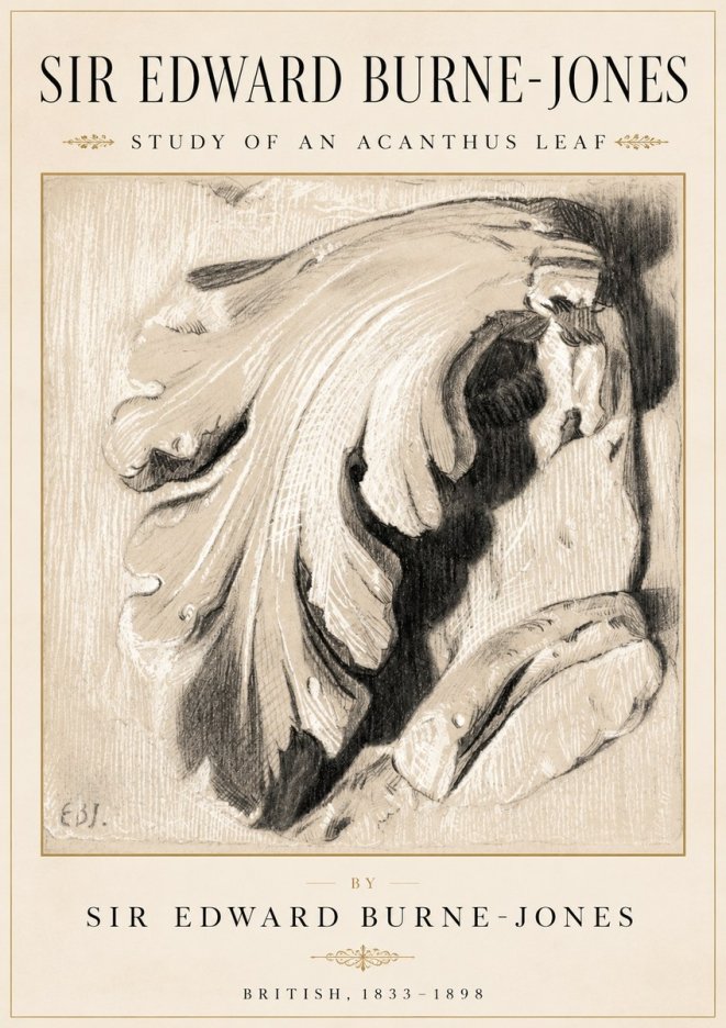 Edward Burne-Jones Study of an Acanthus Leaf No2 - Juliste