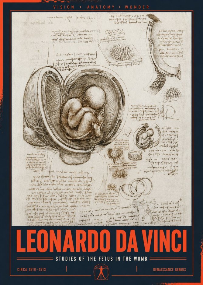 Leonardo da Vinci Studies of the Fetus in the Womb No2 - Juliste
