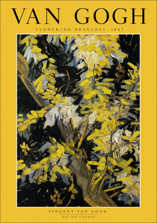 Van Gogh Flowering Branches, 1887 No2 - Juliste