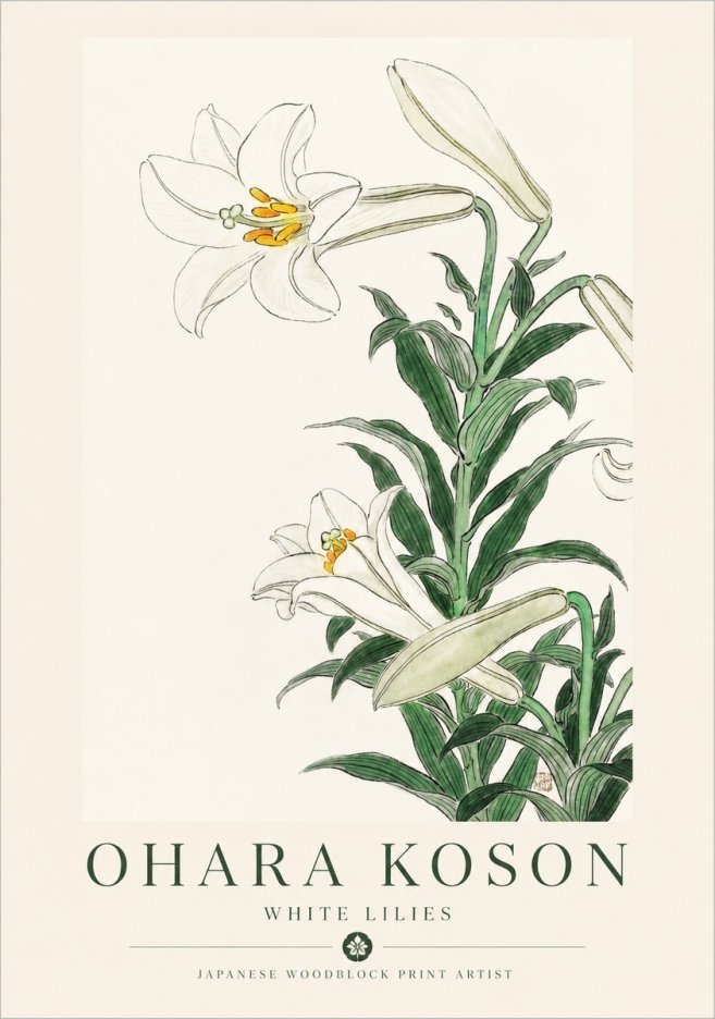 Ohara Koson White Lilies No1 - Juliste