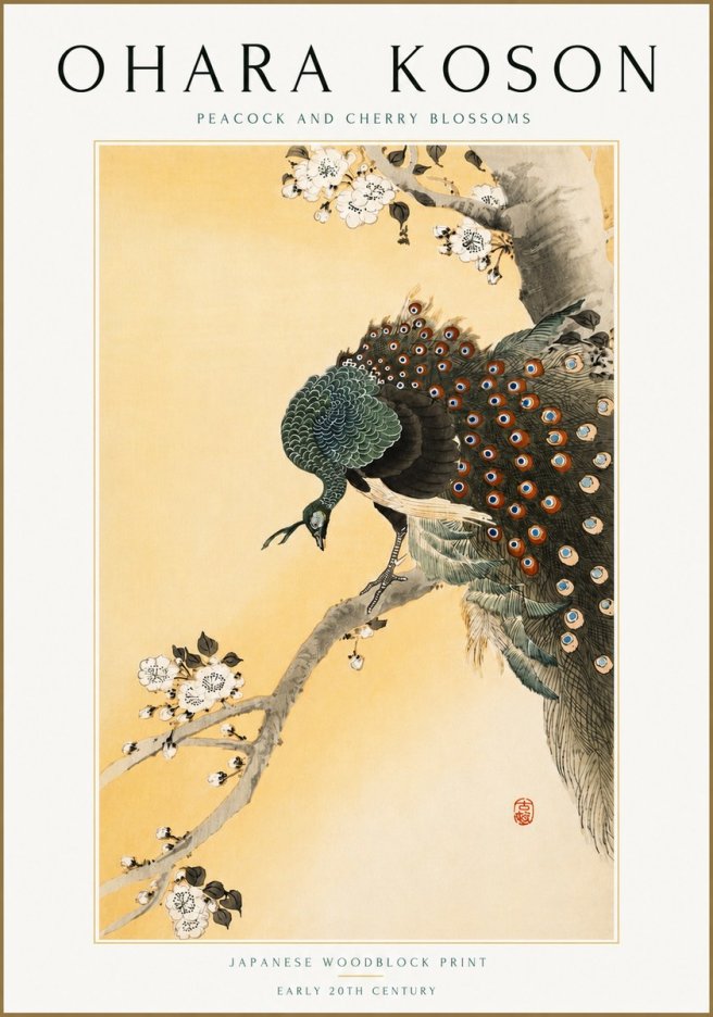 Ohara Koson Peacock and Cherry Blossoms No5 - Juliste