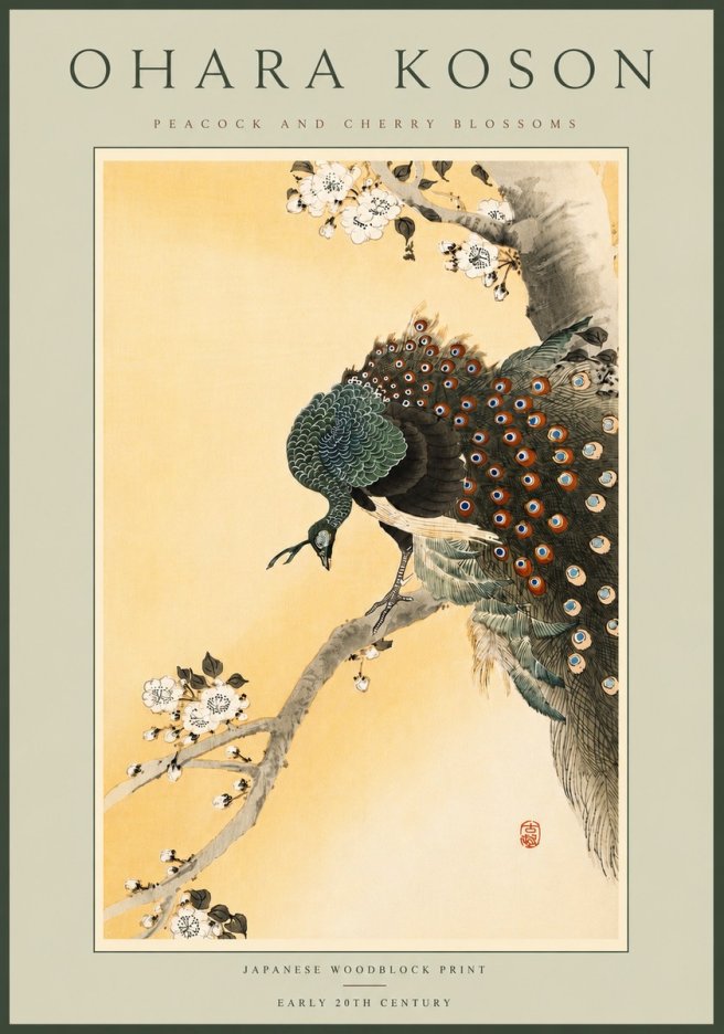 Ohara Koson Peacock and Cherry Blossoms No6 - Juliste