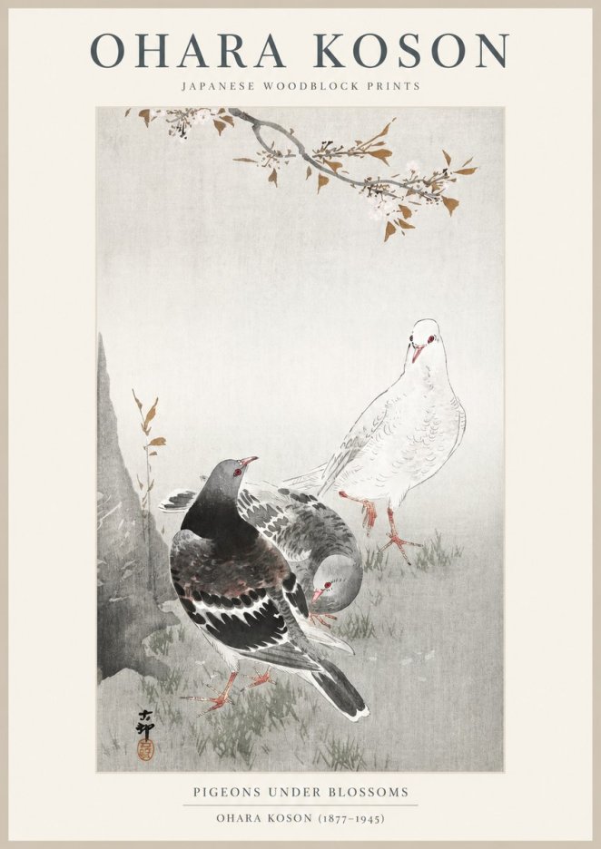 Ohara Koson Pigeons Under Blossoms No1 - Juliste