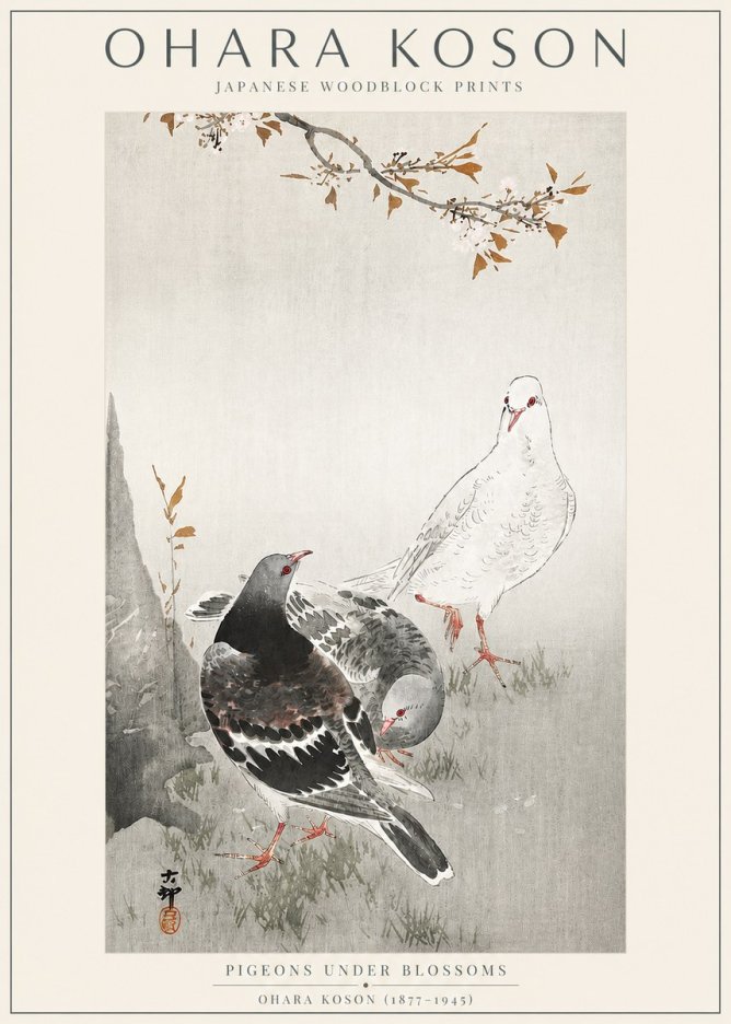 Ohara Koson Pigeons Under Blossoms No3 - Juliste