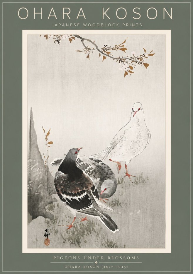 Ohara Koson Pigeons Under Blossoms No5 - Juliste