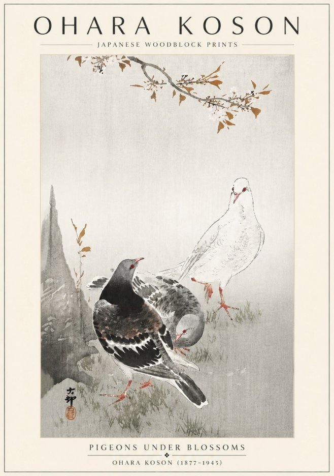 Ohara Koson Pigeons Under Blossoms No6 - Juliste