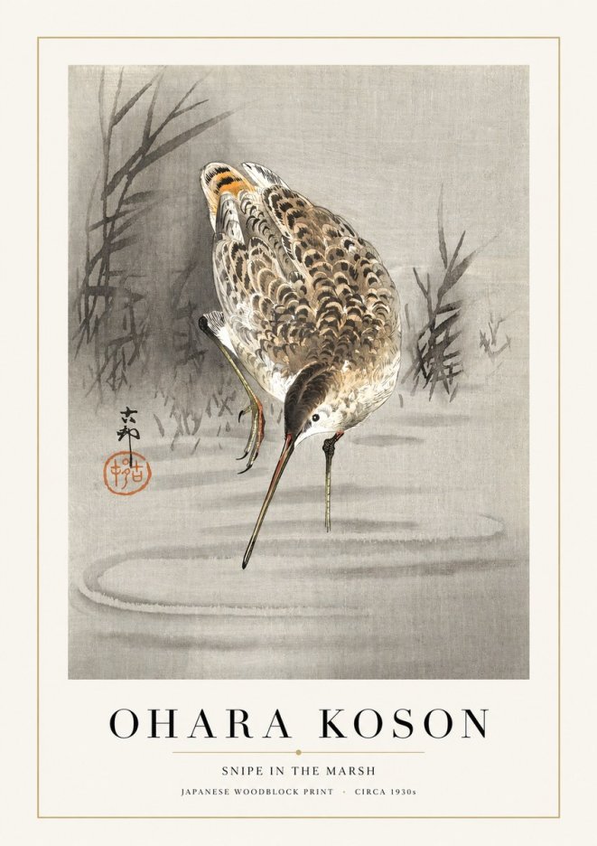 Ohara Koson Snipe in the Marsh No1 - Juliste