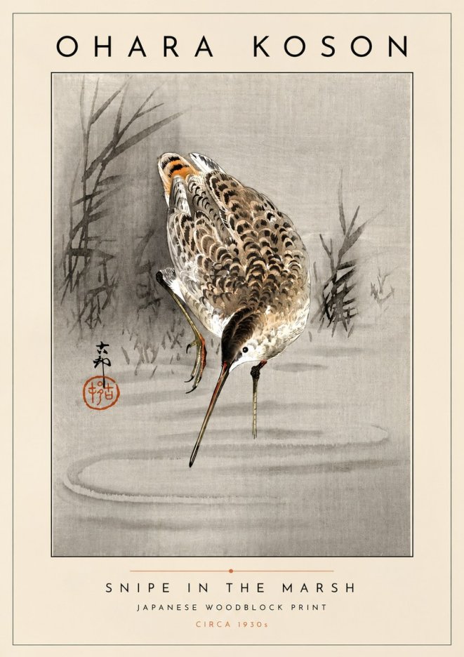 Ohara Koson Snipe in the Marsh No4 - Juliste