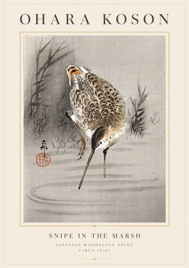 Ohara Koson Snipe in the Marsh No6 - Juliste