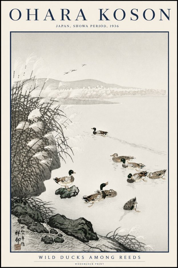 Ohara Koson Wild Ducks Among Reeds No3 - Juliste