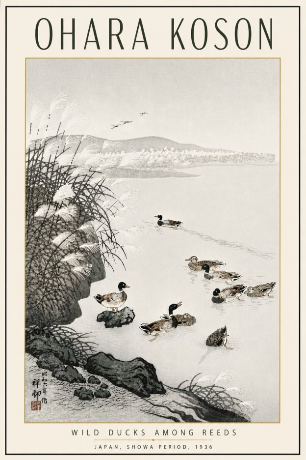 Ohara Koson Wild Ducks Among Reeds No5 - Juliste