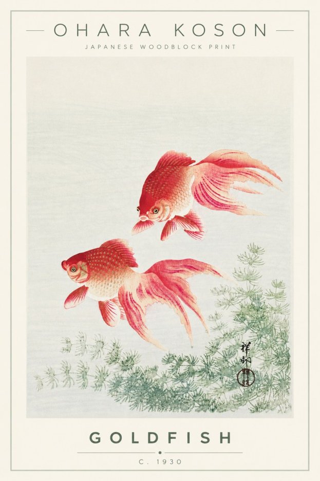 Ohara Koson Goldfish No4 - Juliste