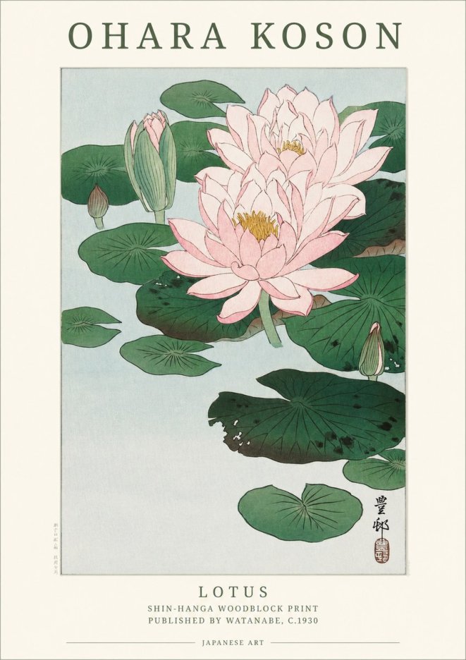 Ohara Koson Lotus I No1 - Juliste