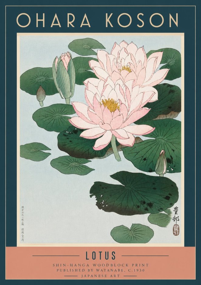 Ohara Koson Lotus I No3 - Juliste