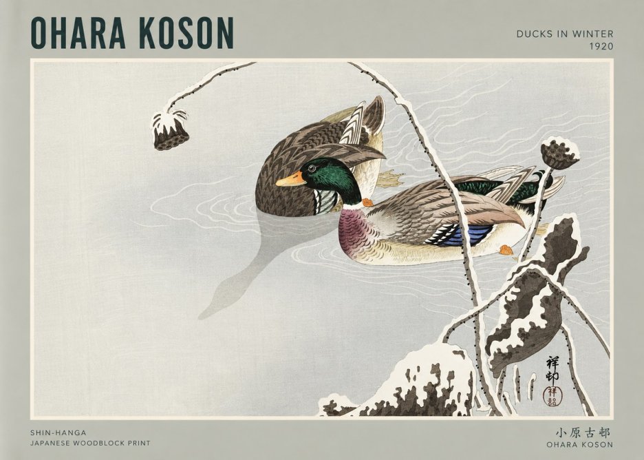 Ohara Koson Ducks in Winter No3 - Juliste