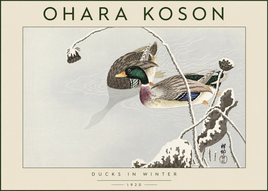Ohara Koson Ducks in Winter No4 - Juliste