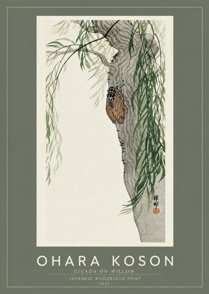 Ohara Koson Cicada on Willow No2 - Juliste