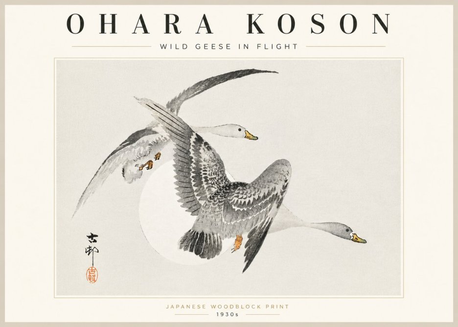 Ohara Koson Wild Geese in Flight I No5 - Juliste
