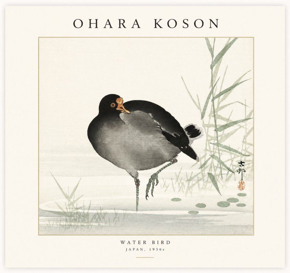Ohara Koson Water Bird No1 - Juliste