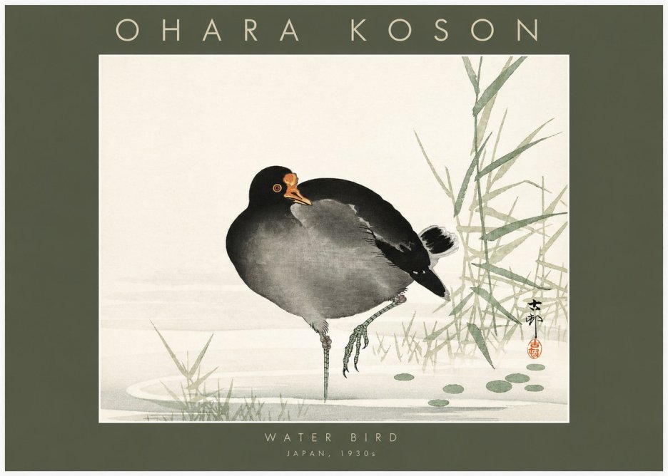 Ohara Koson Water Bird No2 - Juliste