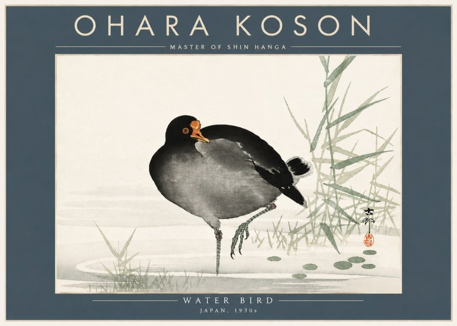 Ohara Koson Water Bird No5 - Juliste