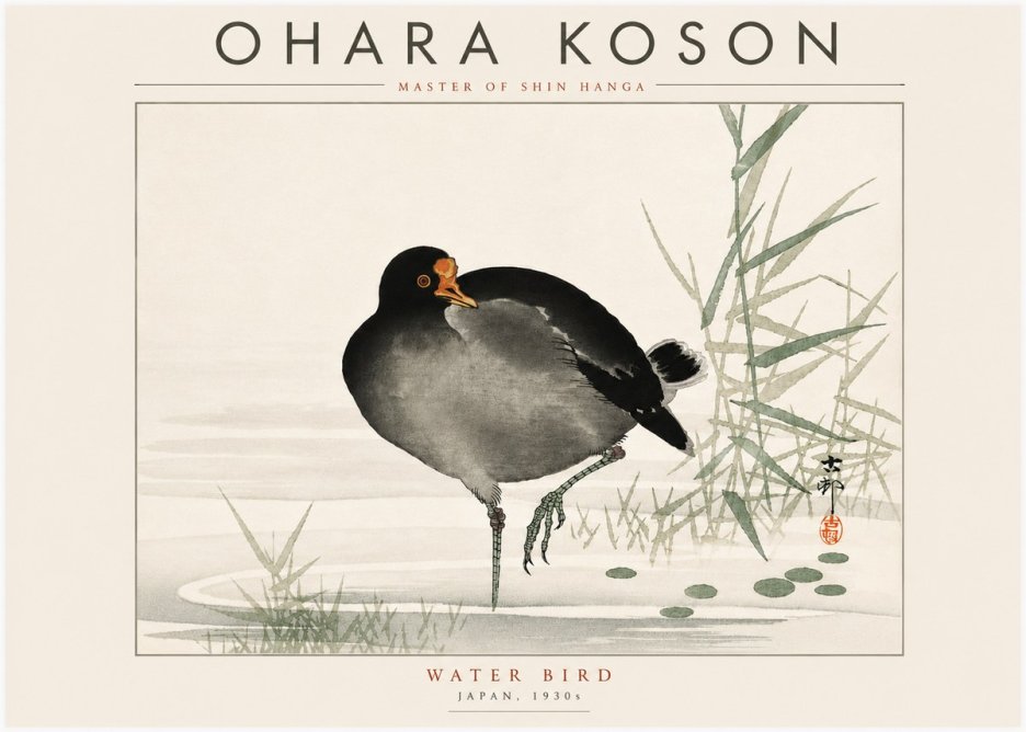 Ohara Koson Water Bird No6 - Juliste