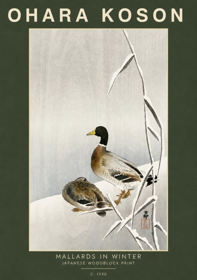 Ohara Koson Mallards in Winter No5 - Juliste