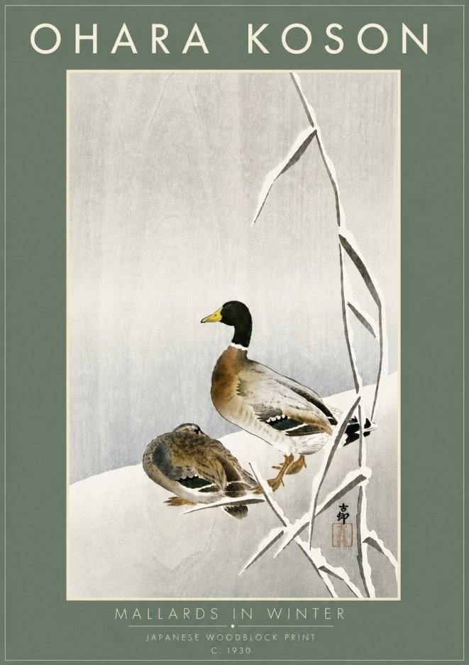 Ohara Koson Mallards in Winter No6 - Juliste