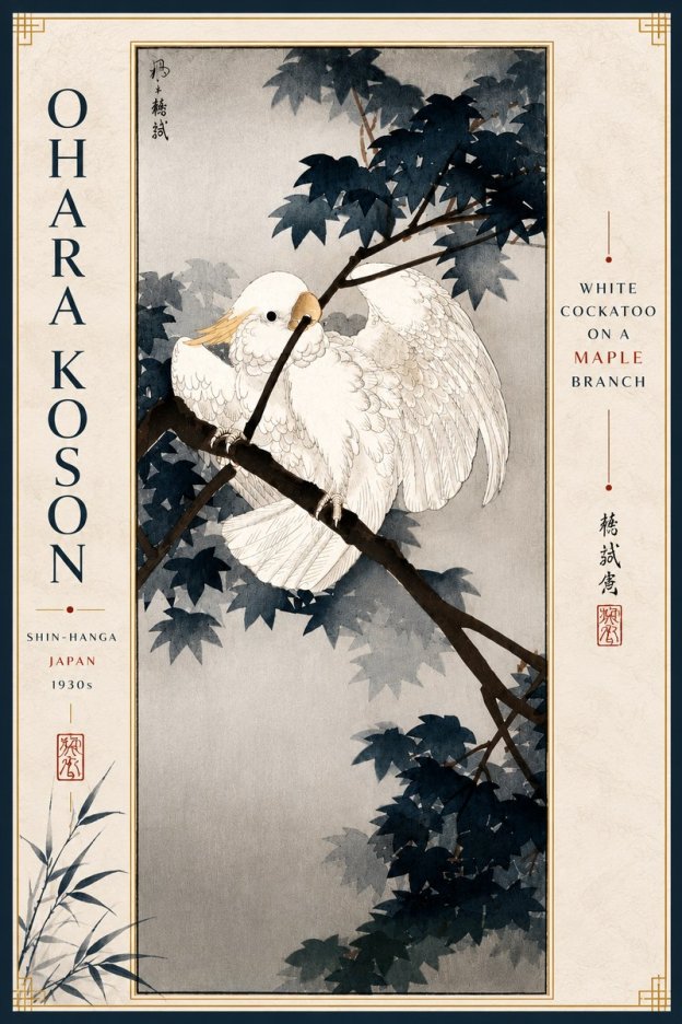 Ohara Koson White Cockatoo on a Maple Branch No4 - Juliste