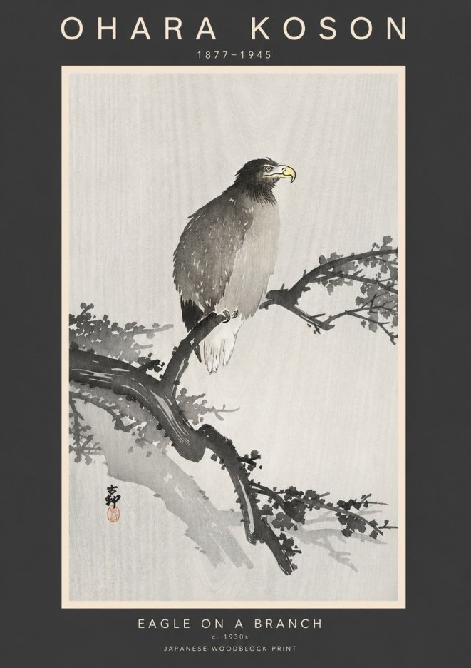 Ohara Koson Eagle on a Branch I No3 - Juliste