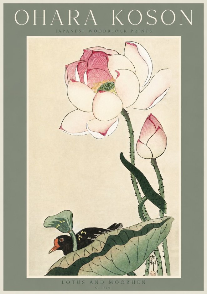 Ohara Koson Lotus and Moorhen No3 - Juliste