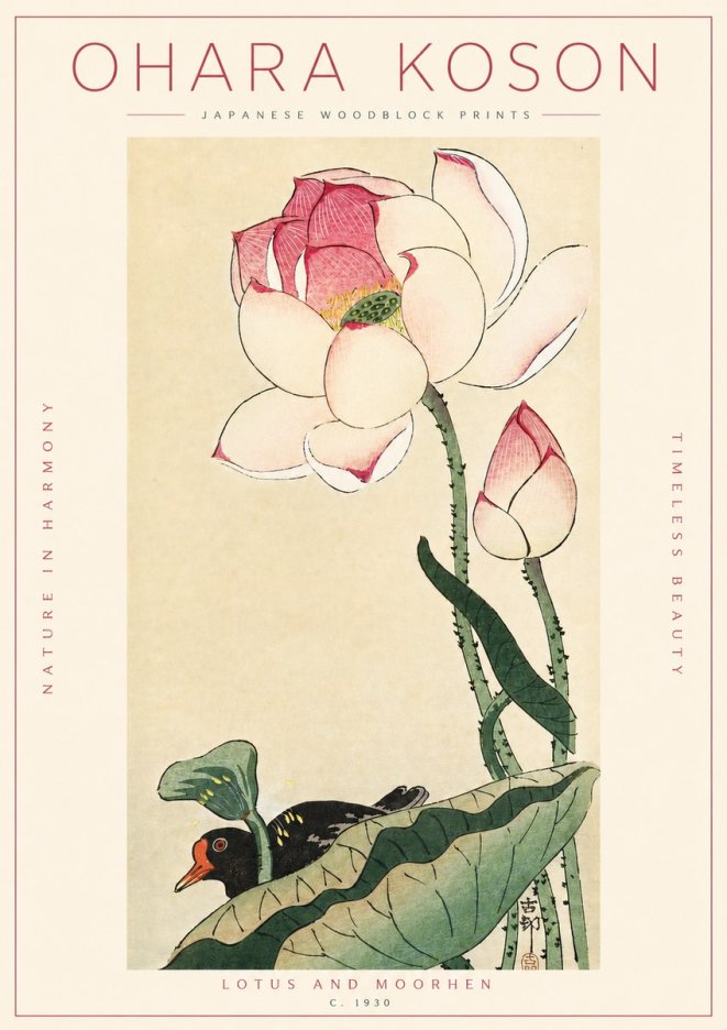 Ohara Koson Lotus and Moorhen No4 - Juliste