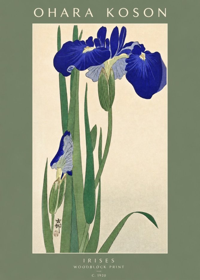 Ohara Koson Irises I No2 - Juliste