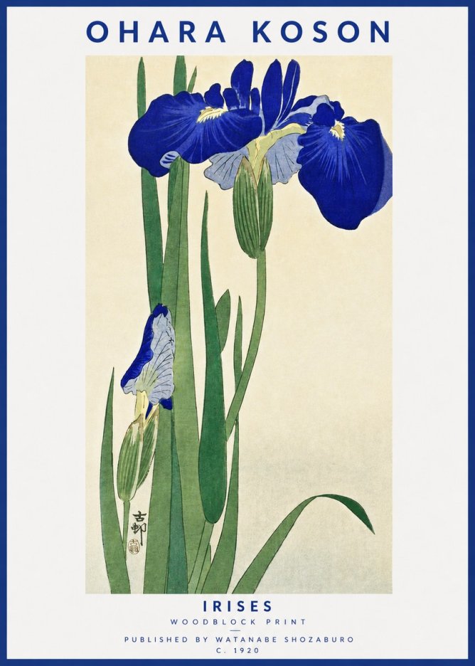 Ohara Koson Irises I No3 - Juliste