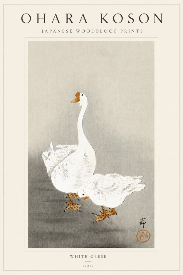 Ohara Koson White Geese No5 - Juliste