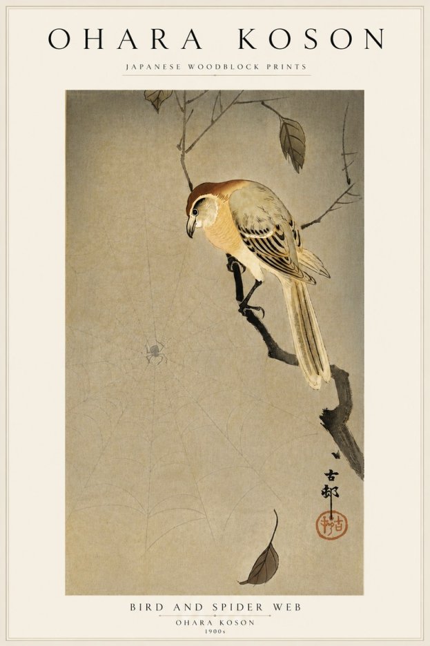 Ohara Koson Bird and Spider Web I No5 - Juliste