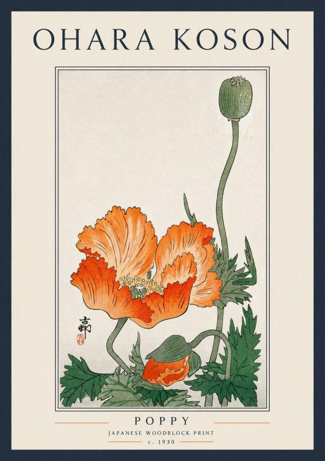 Ohara Koson Poppy No5 - Juliste