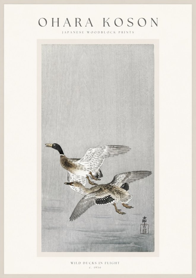 Ohara Koson Wild Ducks in Flight No1 - Juliste