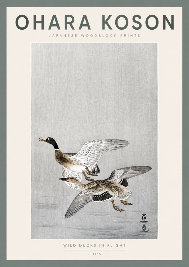 Ohara Koson Wild Ducks in Flight No2 - Juliste