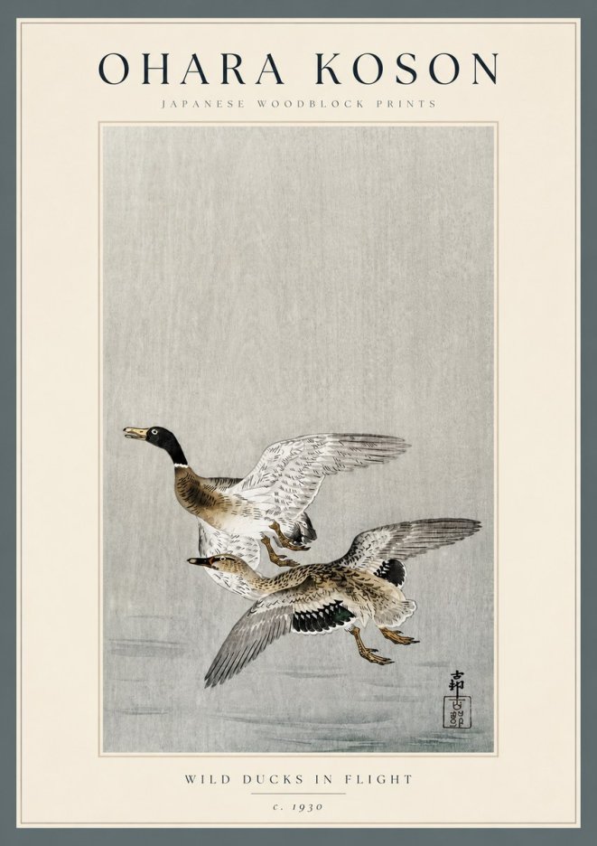 Ohara Koson Wild Ducks in Flight No3 - Juliste