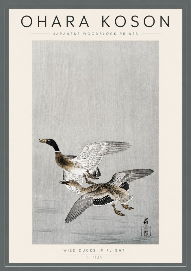 Ohara Koson Wild Ducks in Flight No5 - Juliste